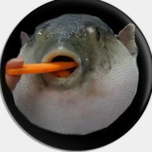 Meet your Posher, Coco - Picture 1 of 1